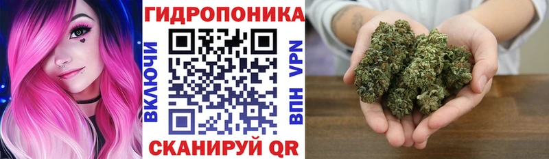 KRAKEN маркетплейс  Сосенский  Шишки марихуана Amnesia 